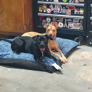 Meet your Posher, Chris